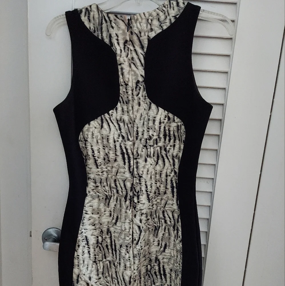 PARKER DRESS - Picture 5 of 8
